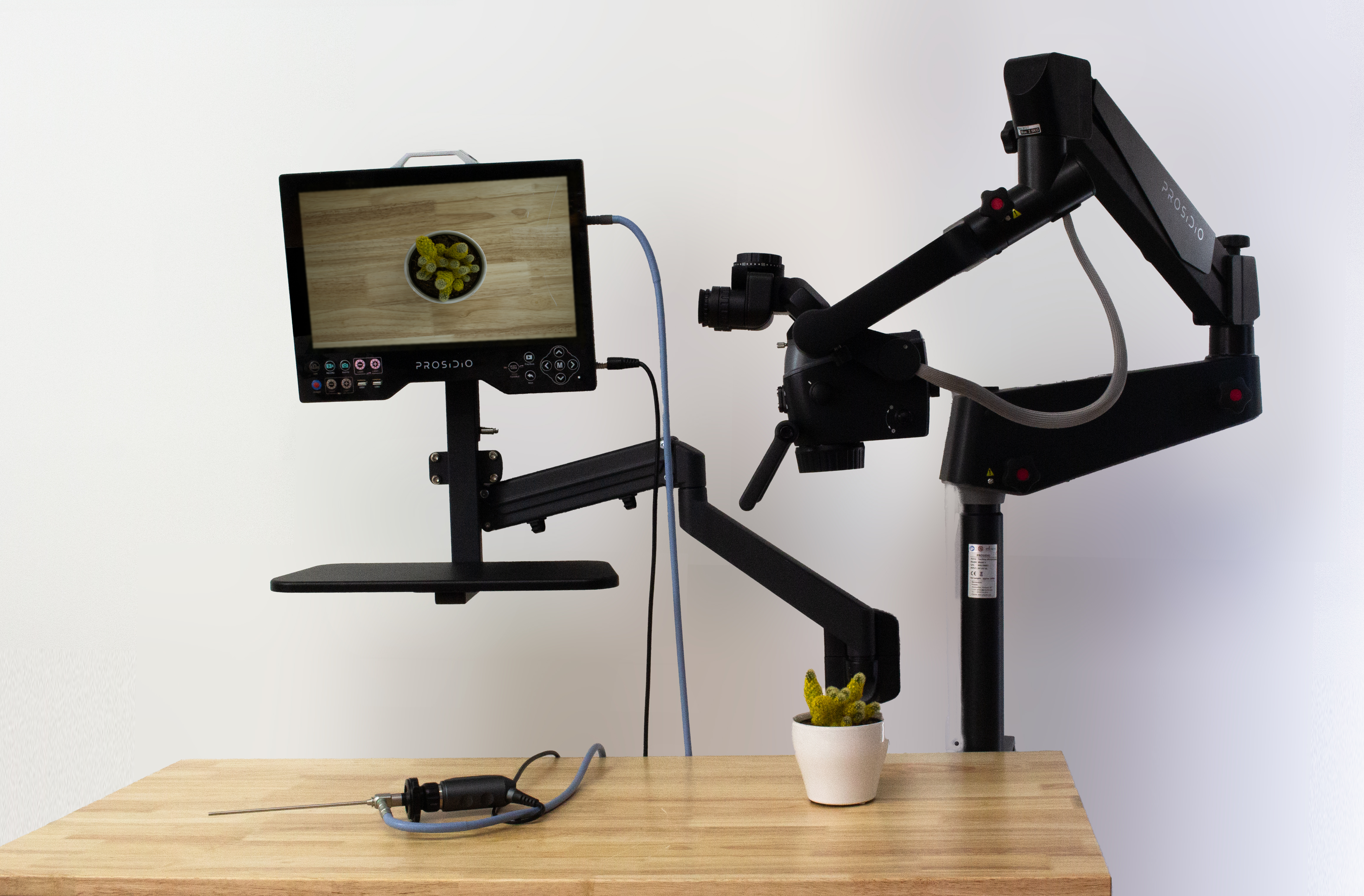 Lateral Skull Base Training